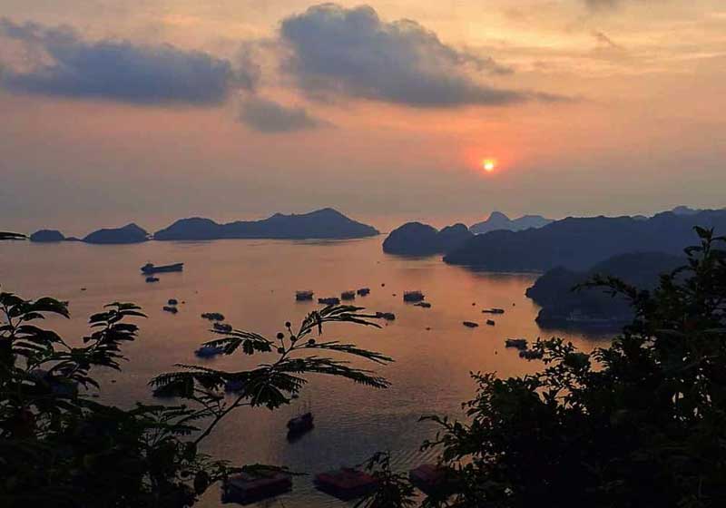 Best things to do in Cat Ba Island